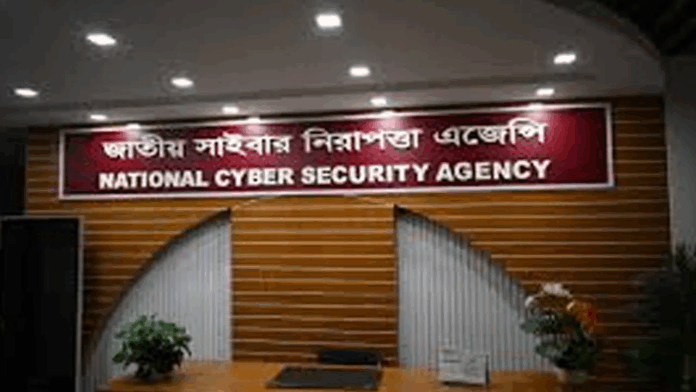 image_250461_1766140625