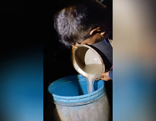 চট্টগ্রাম বিশ্ববিদ্যালয়ের ভেতরেই মদ তৈরির কারখানা, গ্রেপ্তার এক