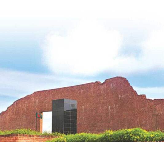 শহীদ বুদ্ধিজীবী দিবস আজ