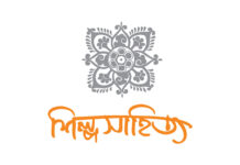 সাফল্য ও স্তিমিত হওয়ার কারণ