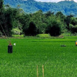 উখিয়া-টেকনাফ সীমান্তে মানবপাচার রুখতে হবে