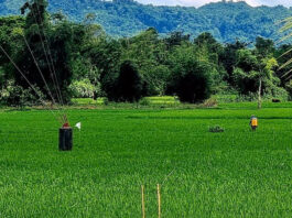 উখিয়া-টেকনাফ সীমান্তে মানবপাচার রুখতে হবে