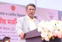 গণভোটে ‘হ্যাঁ’র পক্ষে প্রচারে সরকারি কর্মকর্তাদের আইনগত কোনো বাধা নেই