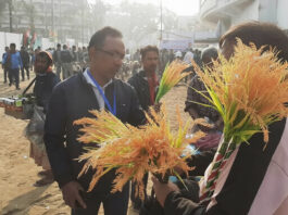 ‘ধানের শীষ’ বেচতে নারায়ণগঞ্জ থেকে চট্টগ্রামে
