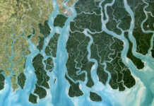 সমুদ্রপৃষ্ঠের উচ্চতা বৃদ্ধির চেয়েও দ্রুত নামছে মাটির স্তর