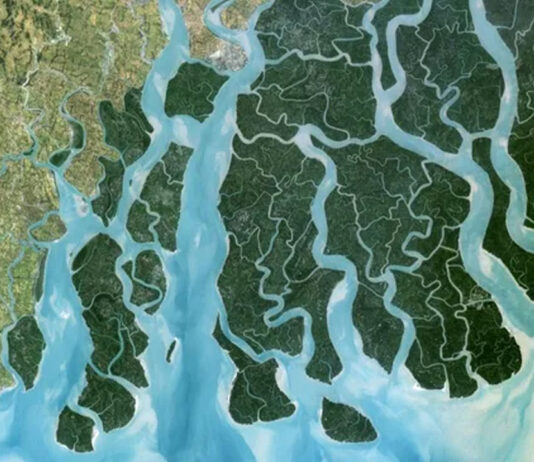 সমুদ্রপৃষ্ঠের উচ্চতা বৃদ্ধির চেয়েও দ্রুত নামছে মাটির স্তর