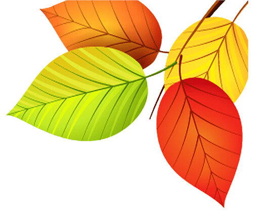 ছড়া ও কবিতা