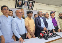 নতুন বাংলাদেশের জন্য কাজ করছে বিএনপি সরকার : মির্জা ফখরুল