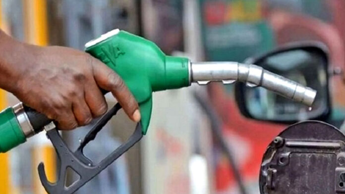 jalani-20260201000143 (1)