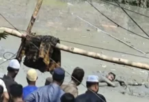 গ্রেপ্তার এড়াতে ডোবায় লাফ দিয়ে ৫ ঘণ্টা কাদায় আটকা ছিনতাইকারী