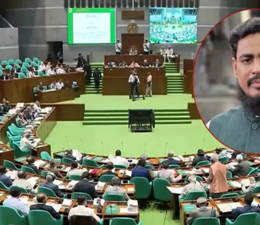 সরকারি দল শুধু জুলাই সনদের নোট অব ডিসেন্টকে অক্ষরে অক্ষরে পালন করতে চায়