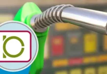 বিপিসিতে বড় রদবদল, যমুনার এমডিসহ ৭ কর্মকর্তাকে বদলি