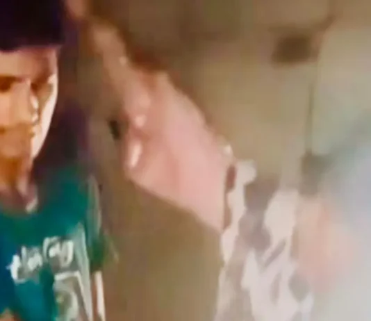 ‘টাকা দিব, মারিস না’, ছেলের মারধরে মায়ের আকুতি; ভিডিও ভাইরাল