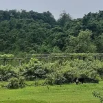 উখিয়া সীমান্তে মাইন বিস্ফোরণে উড়ে গেল যুবকের পা