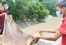 পচা চামড়া নদী-খালে ফেলায় পরিবেশগত বিপর্যয় ঘটবে