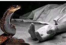ফটিকছড়িতে সাপের কামড়ে প্রাণ গেল শিশুর