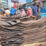 না বুঝে চামড়া কেনাবেঁচা নয়, সতর্কতা সংশ্লিষ্টদের