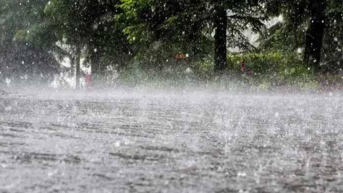 rain-20260530114114