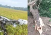 চট্টগ্রামে কালবৈশাখীর তাণ্ডবে বিদ্যুৎ বিপর্যয়