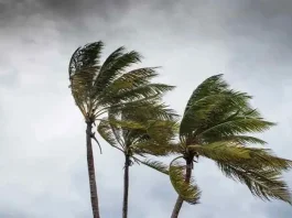নোয়াখালী-চট্টগ্রাম-কক্সবাজারে বজ্রবৃষ্টি ও ঝোড়ো হাওয়ার আভাস