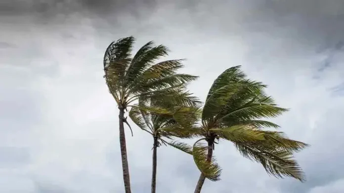 storm-20260531093929