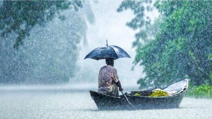 Rain