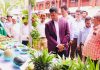 ফলের স্বাদ ফিরিয়ে আনতে না পারলে ফল খাওয়ার অভ্যাসও ফিরবে না: ডিসি জাহিদ