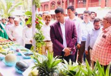 ফলের স্বাদ ফিরিয়ে আনতে না পারলে ফল খাওয়ার অভ্যাসও ফিরবে না: ডিসি জাহিদ