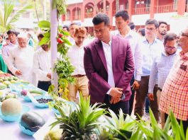 ফলের স্বাদ ফিরিয়ে আনতে না পারলে ফল খাওয়ার অভ্যাসও ফিরবে না: ডিসি জাহিদ