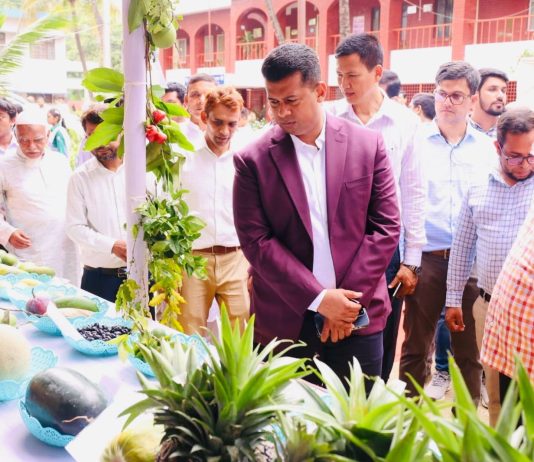 ফলের স্বাদ ফিরিয়ে আনতে না পারলে ফল খাওয়ার অভ্যাসও ফিরবে না: ডিসি জাহিদ