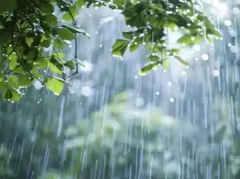 সারাদেশে বজ্রসহ বৃষ্টির আভাস