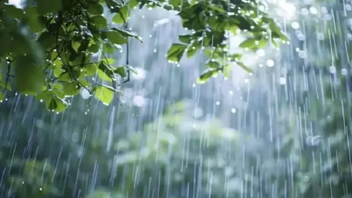 rain-20260614123712