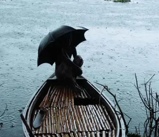 আগামী ৩-৪ দিনে সারাদেশে ছড়াবে বর্ষা