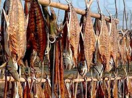 সাফল্য ও আমাদের সম্ভাবনা