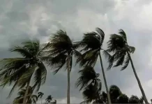 সন্ধ্যার মধ্যে ৯ অঞ্চলে ঝড়ের পূর্বাভাস