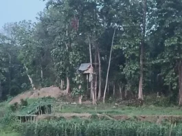 লোহাগাড়ায় বন্যহাতির চলাচল পথে প্রতিবন্ধকতা