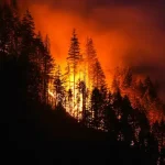 দাবানলের ধোঁয়ায় ঢেকেছে কানাডা-যুক্তরাষ্ট্রের আকাশ!