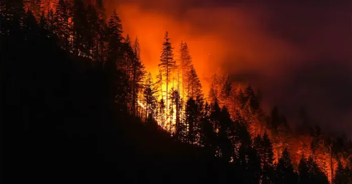Canada Wildfire-1-768x402