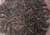 শেরশাহ বাংলা বাজারে নালায় বিপুল সংখ্যক ‘বুলেট’