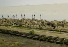 আনোয়ারার উপকূলে ভেসে এল অজ্ঞাত ব্যক্তির মরদেহ