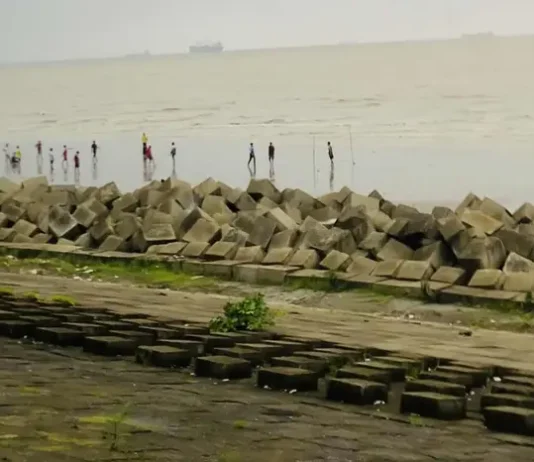 আনোয়ারার উপকূলে ভেসে এল অজ্ঞাত ব্যক্তির মরদেহ
