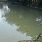 কুতুবদিয়ায় পুকুরে ডুবে দুই বছরের শিশুর মৃত্যু