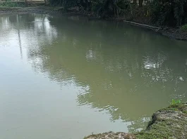 কুতুবদিয়ায় পুকুরে ডুবে দুই বছরের শিশুর মৃত্যু