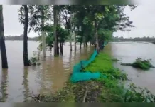 চট্টগ্রামে বন্যায় তলিয়ে গেল মাছের ঘের-পুকুর, মৎস্য খাতে বড় ধাক্কা