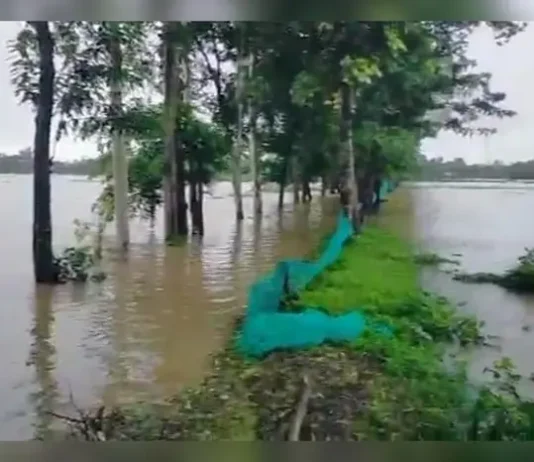 চট্টগ্রামে বন্যায় তলিয়ে গেল মাছের ঘের-পুকুর, মৎস্য খাতে বড় ধাক্কা