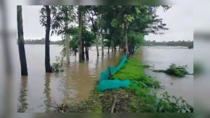 dhaka-post-2026-07-10t142532994-20260710143408