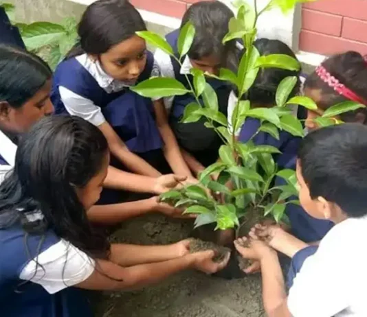 ১৫ জুলাই সব সরকারি প্রাথমিক বিদ্যালয়ে রোপণ করা হবে তিনটি করে গাছের চারা