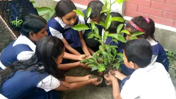 education-tree-20260713141447