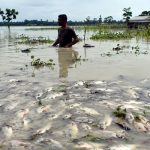বন্যায় ভেসেছে ৯১ কোটি টাকার মাছ, ক্ষতিগ্রস্ত প্রায় ১৪ হাজার হেক্টর কৃষিজমি