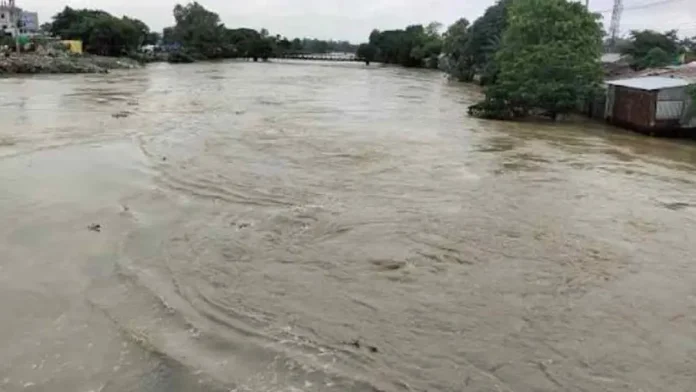 flood-20260709105415